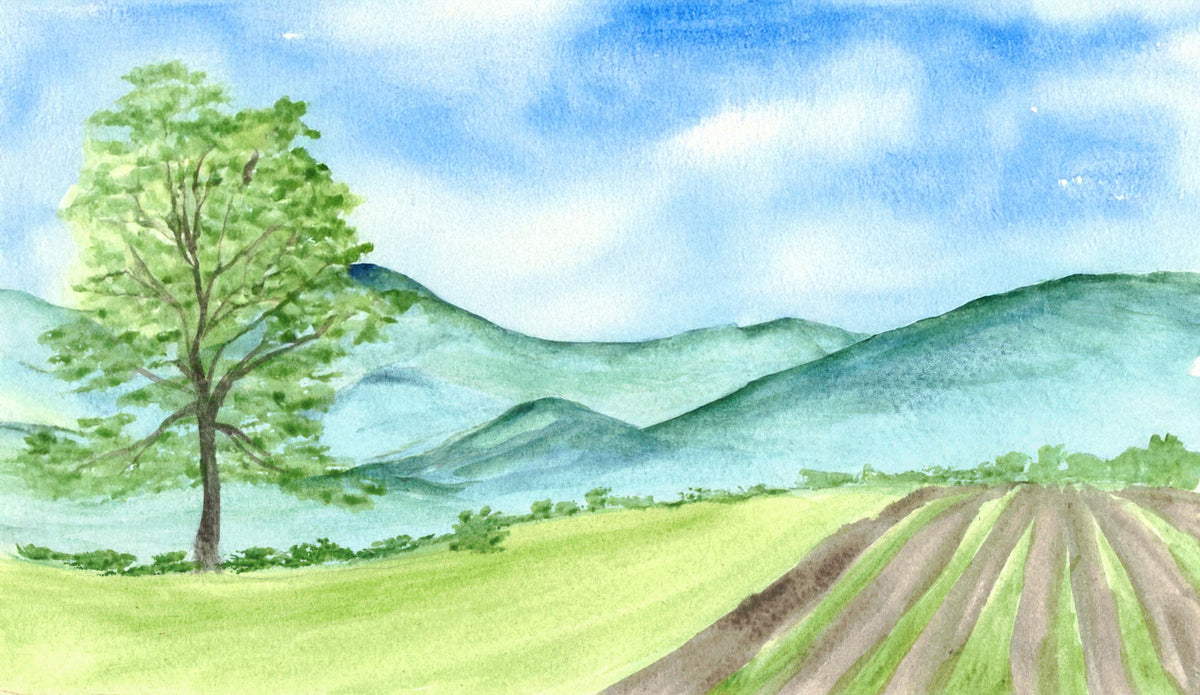 Green Mountain Soap